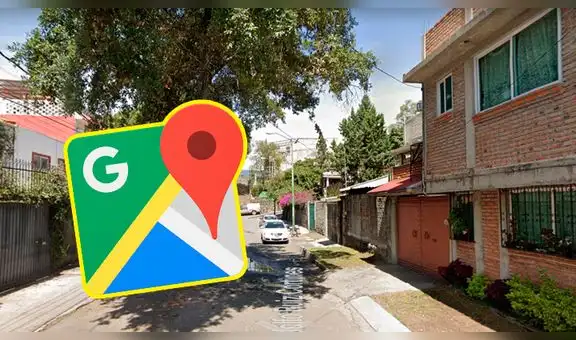 Google Maps: recorre calle de México y capta un árbol en el peor lugar posible [FOTOS]