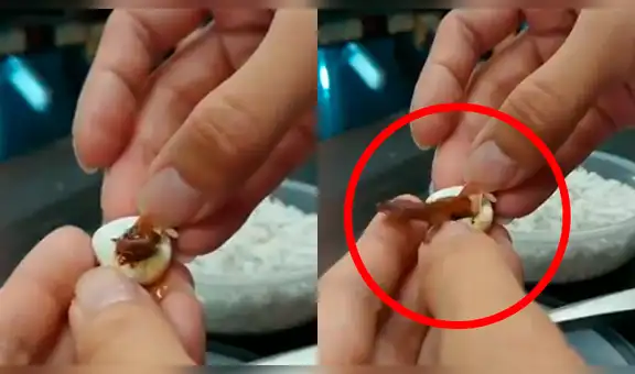 Vía Facebook: increíble nacimiento de lagartija bebé es grabada por veterinario [VIDEO]