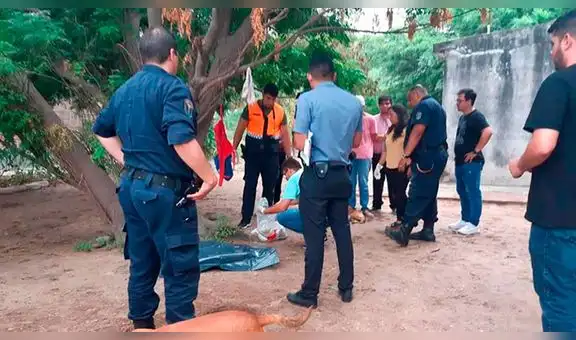 “Quiero perder esto que fue un error en mi vida”: la carta que escribió una mujer al abandonar a su bebé