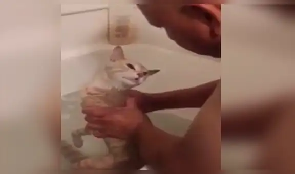 Gato protagoniza dramática escena para evitar ser bañado por su dueño [VIDEO]