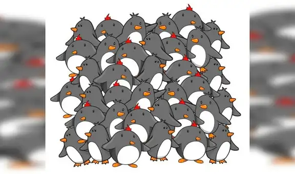 ¿Logras hallar al pingüino sin pico escondido en la imagen? El nuevo reto visual que nadie supera [FOTOS] 