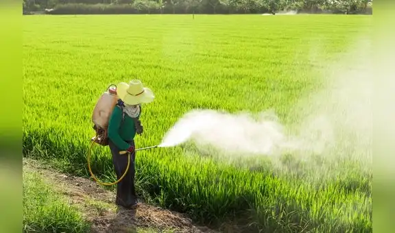 Agricultura: Industria de plaguicidas requiere una inversión de 286 millones de dólares 