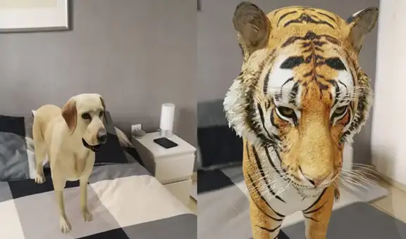 Google: conoce cómo poner animales en 3D en tus fotos usando el buscador de tu celular
