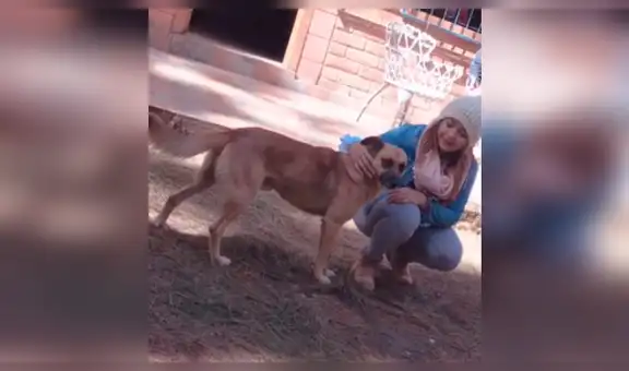 Perro callejero corres tras el auto de una familia y ellos deciden adoptarlo [VIDEO]