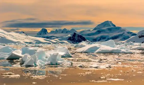 ‘Infierno’ en la Antártida: temperatura supera los 20 °C por primera vez en la historia