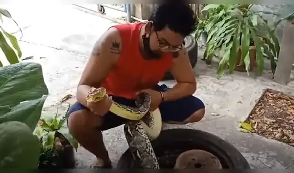 Escucha extraños ruidos al interior de una llanta, la revisa y se topa con una enorme serpiente pitón [VIDEO]