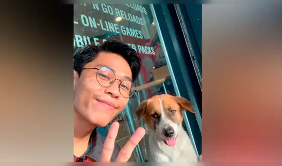 Perrita callejera se encariña con joven que le dio comida y lo busca hasta su trabajo [FOTOS]