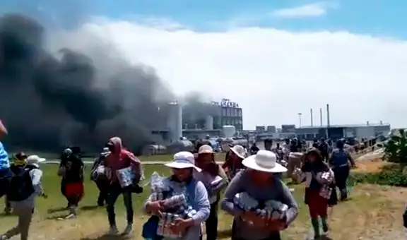 Gloria suspende temporalmente el rocojo de leche en la región Arequipa