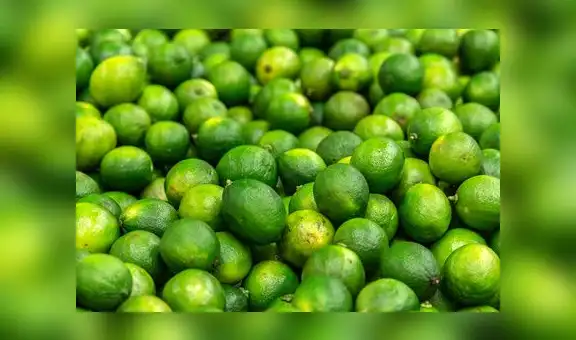 Colombia podrá exportar limón, palta y piña a Perú desde este lunes