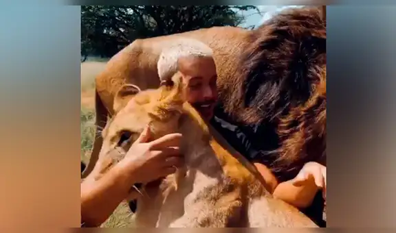 Cuidador de felinos se reencuentra con leones que cuidó de pequeños y conmovedora escena asombra a todos [VIDEO]