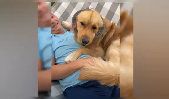 Chica deja a su perro al cuidado de su papá y al regresar los encuentra en conmovedor momento [VIDEO]