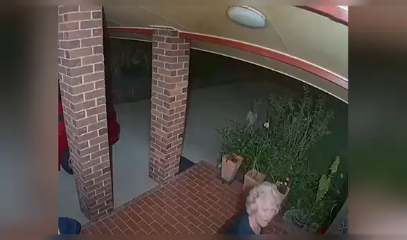 Cámara de seguridad capta a perro enfrentándose a delincuentes para salvar a su dueña [VIDEO]