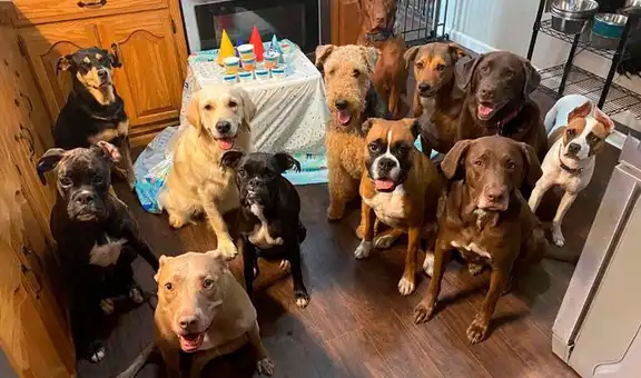 Perrita se divierte en su fiesta de cumpleaños y hace divertidas poses al lado de sus ‘amigos’ [FOTOS]