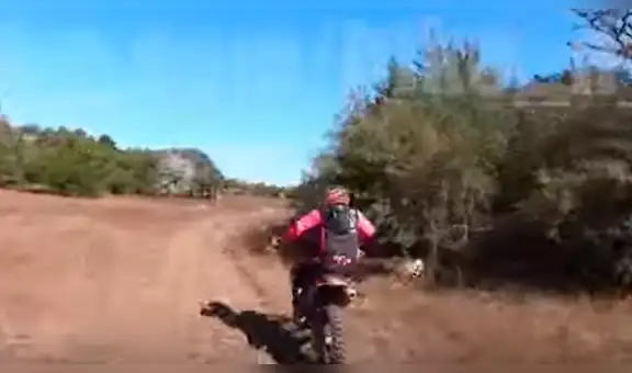 Motociclista sufre terrible choque contra un venado mientras competía en torneo [VIDEO]
