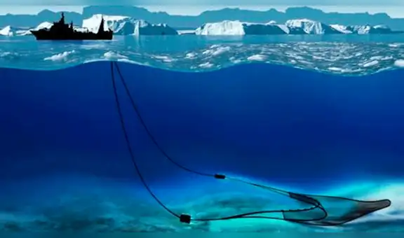 Científicos atrapan extraña criatura bajo hielo en la Antártida y su aterrador aspecto sorprende a miles [VIDEO]