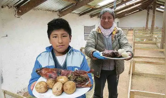 Niño cusqueño cría cuyes que sirven de sustento para su familia