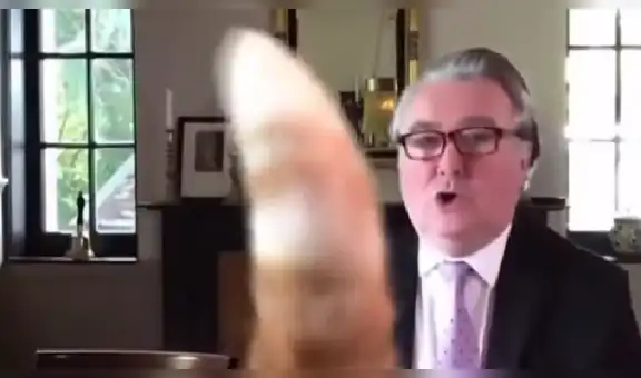 Gato ‘mete’ su cola en plena videollamada de su dueño y hace reír a todos sus colegas [VIDEO]