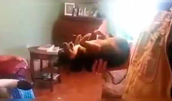 Perro simula estar ‘muerto’ para evitar que lo alejen de su dueño enfermo [VIDEO] 