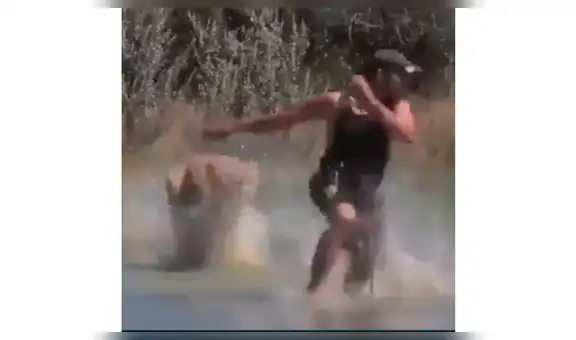 Feroz leona se encuentra con osado turista dentro de su hábitat y el desenlace impacta a miles [VIDEO]