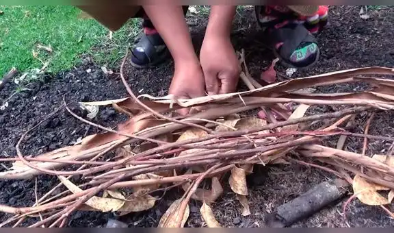 Chef peruano reveló su sencilla receta para preparar el Ratatouille y miles desean imitarlo [VIDEO]