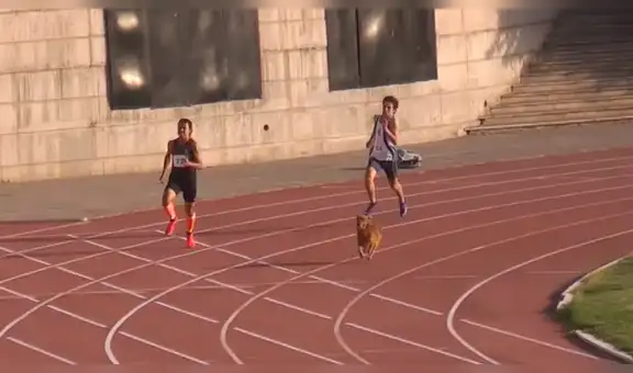 Facebook viral: perro ingresa a competencia de atletismos y humilla a todos los corredores [VIDEO]