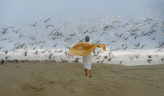 Canta, Susana, canta...