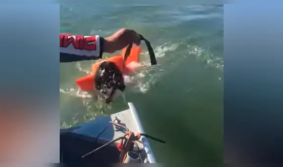 Hombre encuentra extraño ser ahogado en lago, arroja salvavidas y pasa lo inesperado [VIDEO]