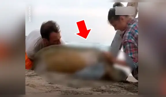 Pareja saca enorme criatura marina atrapada entre dos piedras y sucede algo conmovedor [VIDEO] 