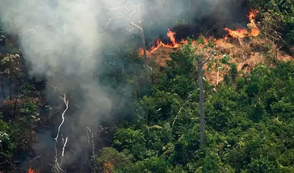 Brasil: destrucción amazónica puede derivar en boicot a sector agropecuario