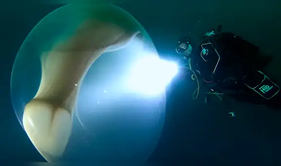 Buzos encuentran gigantesca bola gelatinosa con miles de huevos de extraña criatura [VIDEO]