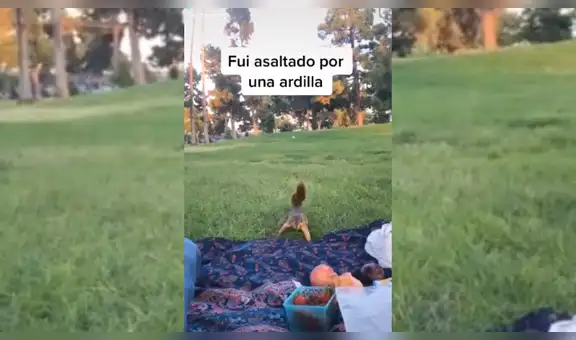 Traviesa ardilla le roba fruta a despistado joven que hacía ‘picnic’ en medio de un parque [VIDEO]