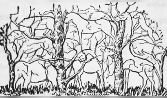 ¿Qué animal ves?: el reto que determinará el tipo de personalidad que posees [FOTOS]