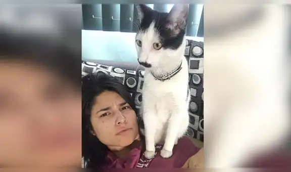 Adorable gato con bigote es comparado con Hitler y se vuelve viral en redes [FOTOS]