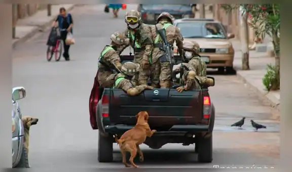 Soldados son perseguidos por perros callejeros en cuarentena y ellos realizan noble acción [FOTOS]