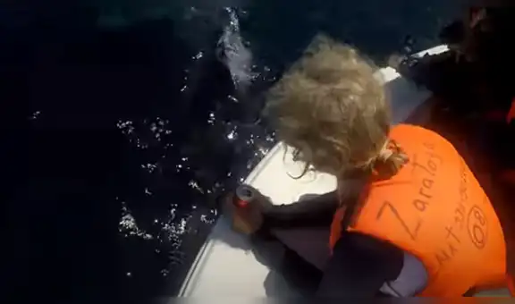 Tiburón ballena surge del océano y turistas quedan impactados al ver su aspecto [VIDEO] 