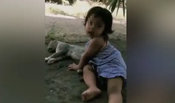 Mujer sale a la puerta de su casa y encuentra a su hija en tierna escena con un gatito callejero [VIDEO] 