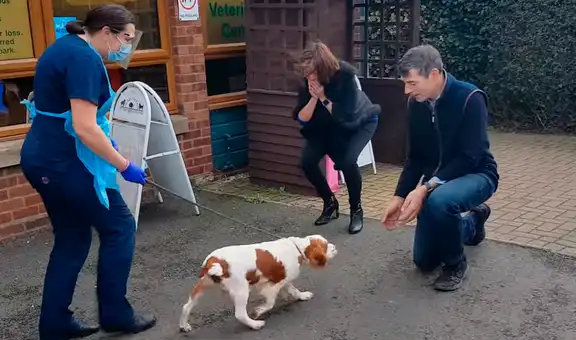Perrita vuelve a ver a sus dueños 6 años después de haber sido robada