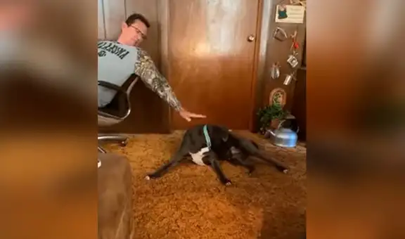 Hombre le juega broma a su perro al tocarle el cuello de forma desprevenida  