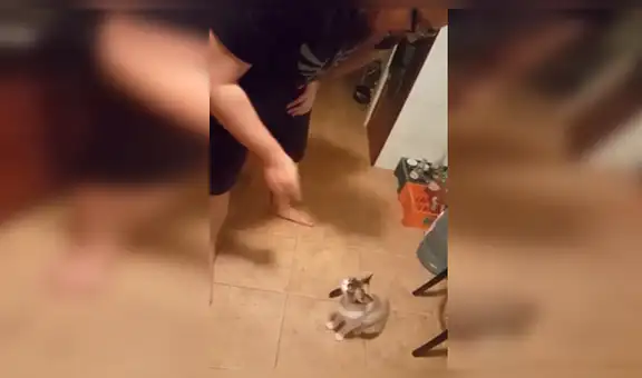 Hombre critica al socialismo, su gata lo oye y tiene reacción totalmente inesperada [VIDEO]