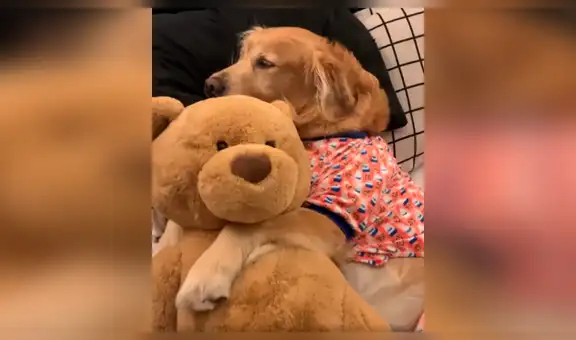 Le pidió a su novio que cuide a su perro pero al regresar a casa los descubrió en una tierna escena [VIDEO]