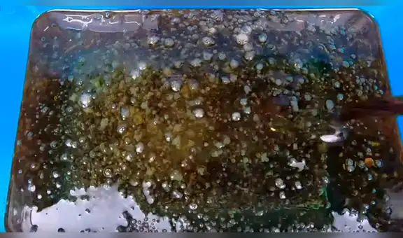 Joven mete botella de Coca Cola con Mentos en un recipiente con aceite y ocurre lo inesperado [VIDEO]