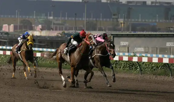 Jockey Club listo para reanudar carreras de caballos sin público 