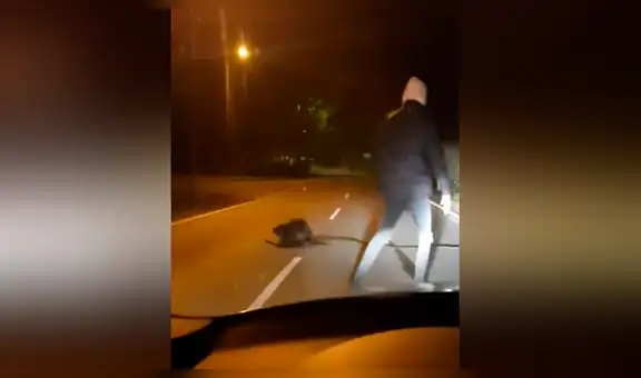 Se topa con rara criatura en mitad de la autopista, se acerca y ocurre lo lo menos pensado [VIDEO]