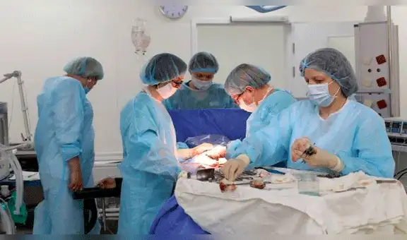 Tenía dolor abdominal y de los ovarios le extraen un enorme quiste hecho de pelos