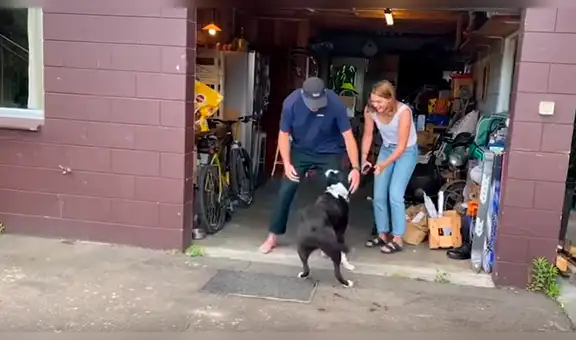 Perro ve a su dueño luego de un año y protagonizan conmovedora escena en su reencuentro [VIDEO]
