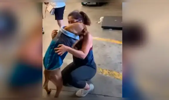 Perrita protagoniza tierno momento al reencontrarse con su dueña después de varios meses [VIDEO]