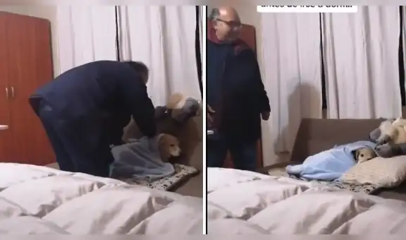 Le pide a su papá que vigile a su perro, pero al volver los ve en una tierna escena [VIDEO]