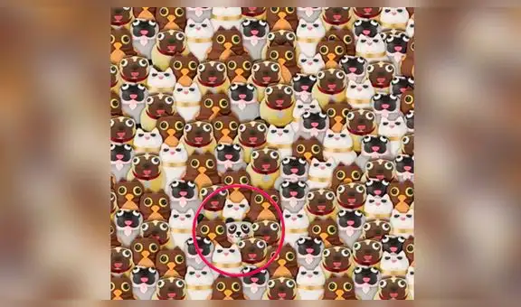 ¿Encuentras al oso panda que está entre los pug? Este es el reto visual que pocos han superado [FOTOS]
