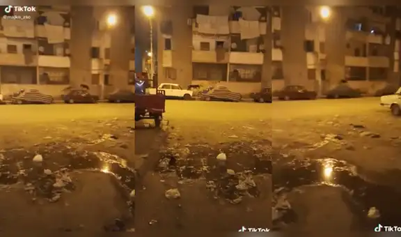 Perros callejeros ven que las calles están vacías y hacen carrera en medio de la madrugada [VIDEO]