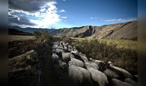 Quinto aniversario del Qhapaq Ñan